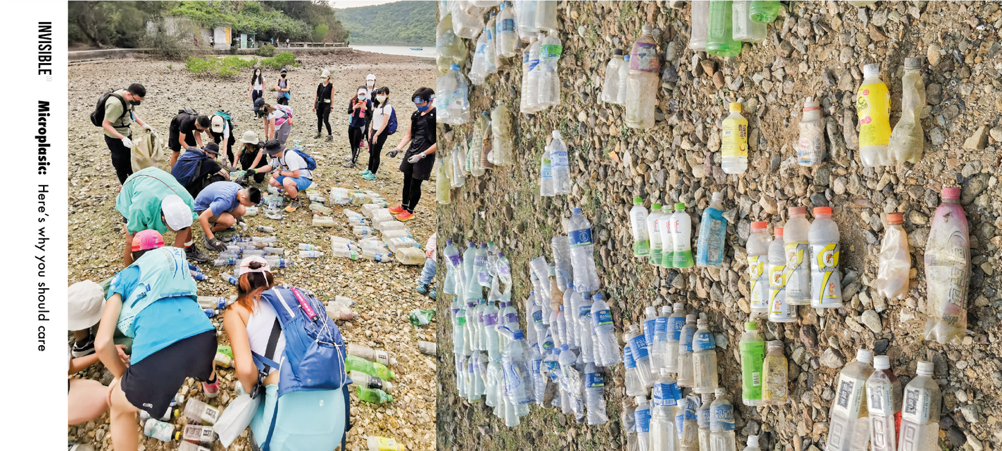 INVISIBLE concerns about sustainable living in the topic of Microplastics Crisis: From Beach Landscapes to Our Body