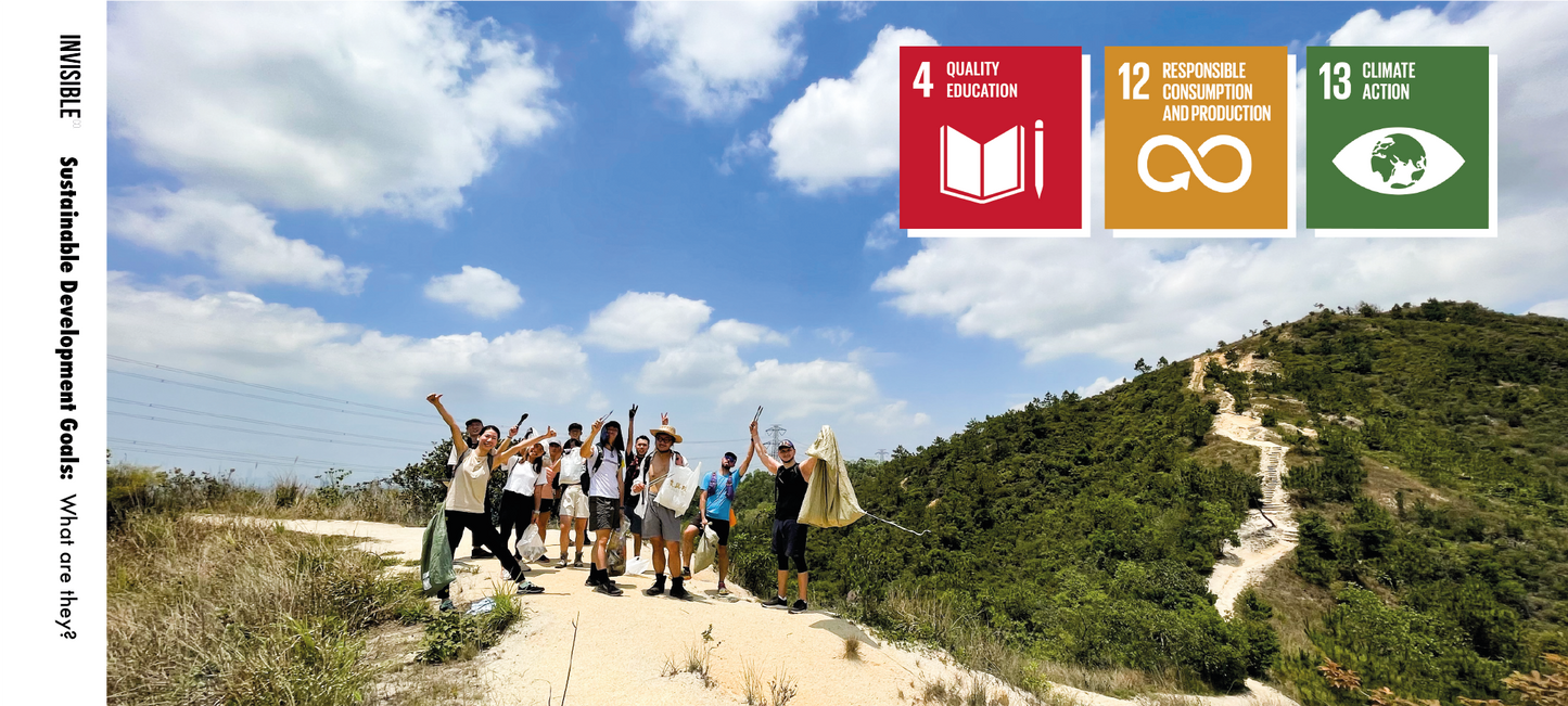 Invisible Company's SDG in 2022