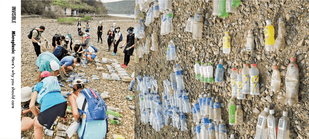 Microplastics Crisis: From Beach Landscapes to Our Body