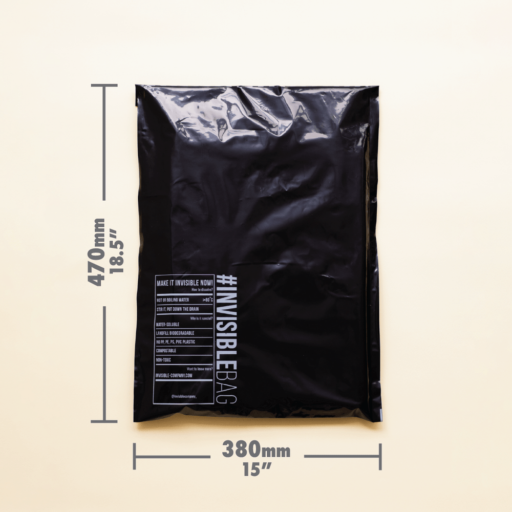 
                  
                     Large Size #INVISIBLEBAG Mailer
                  
                