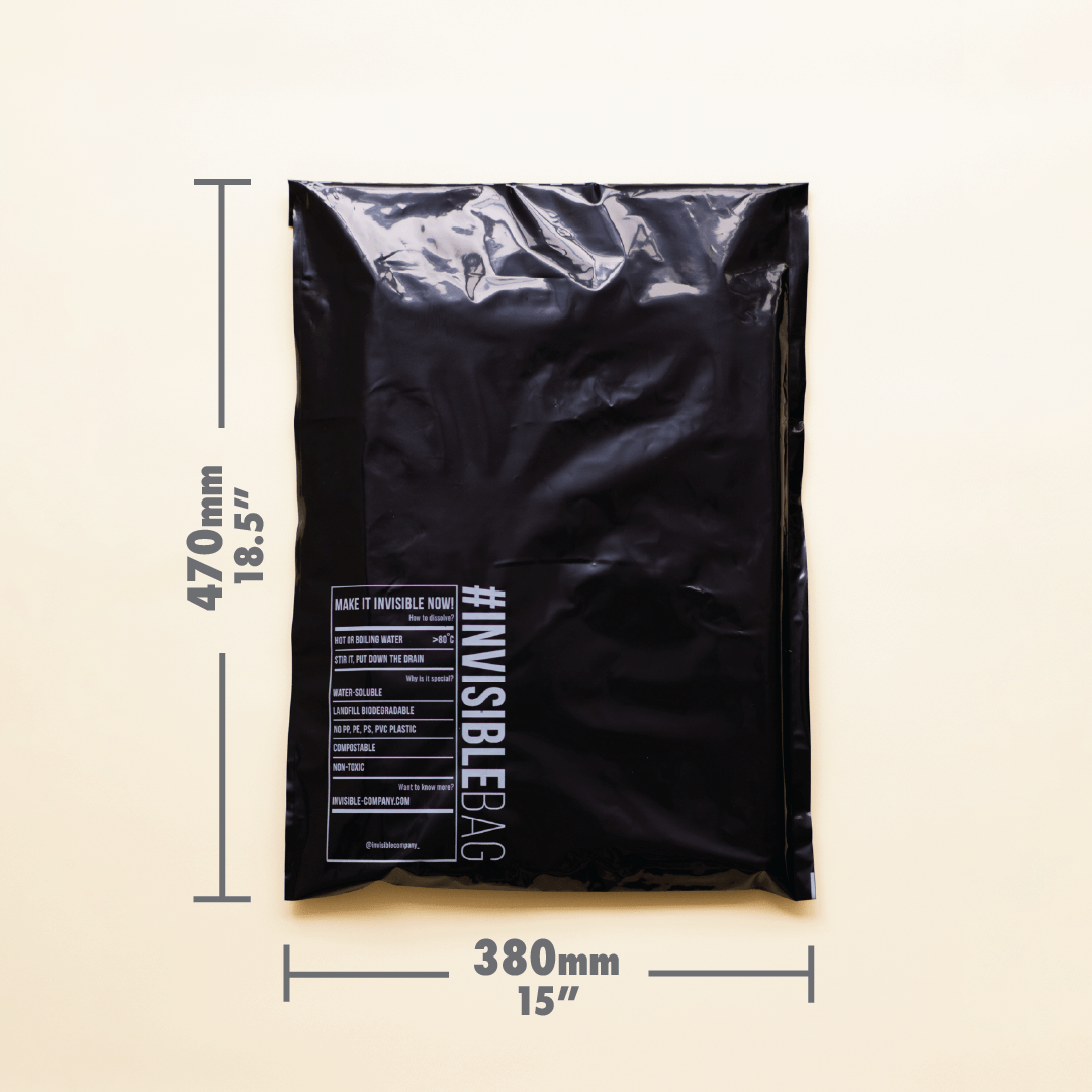 
                  
                     Large Size #INVISIBLEBAG Mailer
                  
                