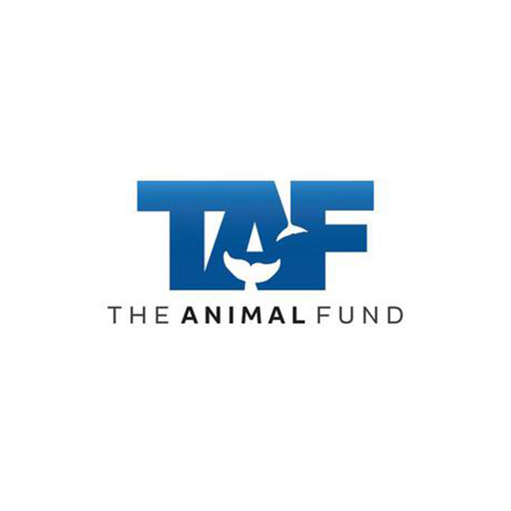 Donate to 